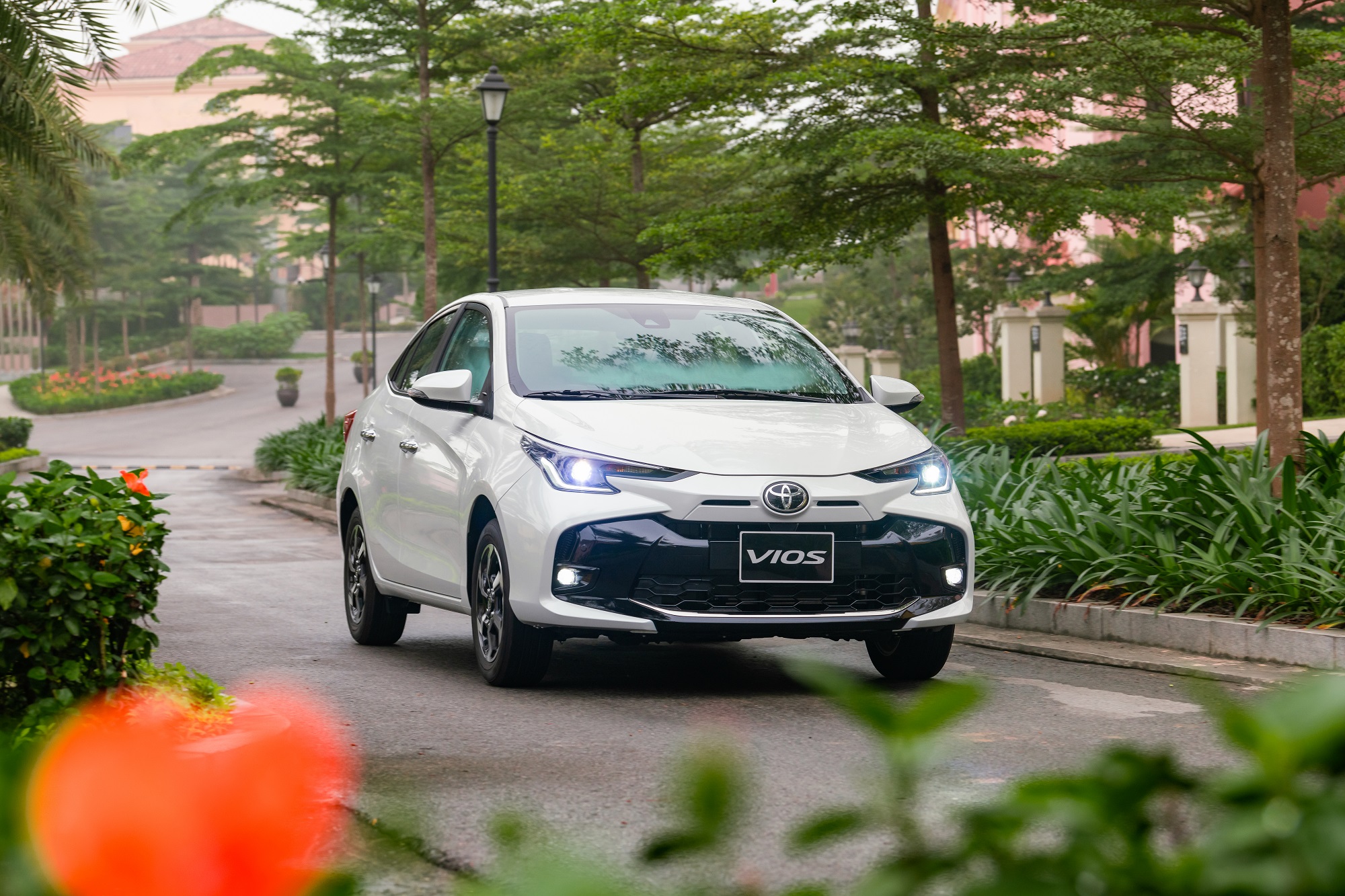 Toyota Việt Nam công bố kết quả kinh doanh  và hoạt động nổi bật năm 2024